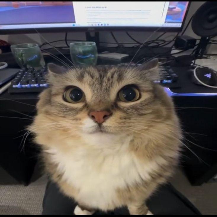 Faceit avatar