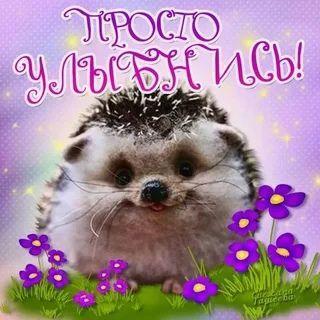 koffiy avatar