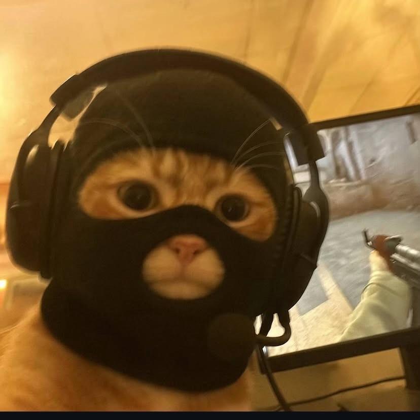 _Mr_Dipsi_ avatar