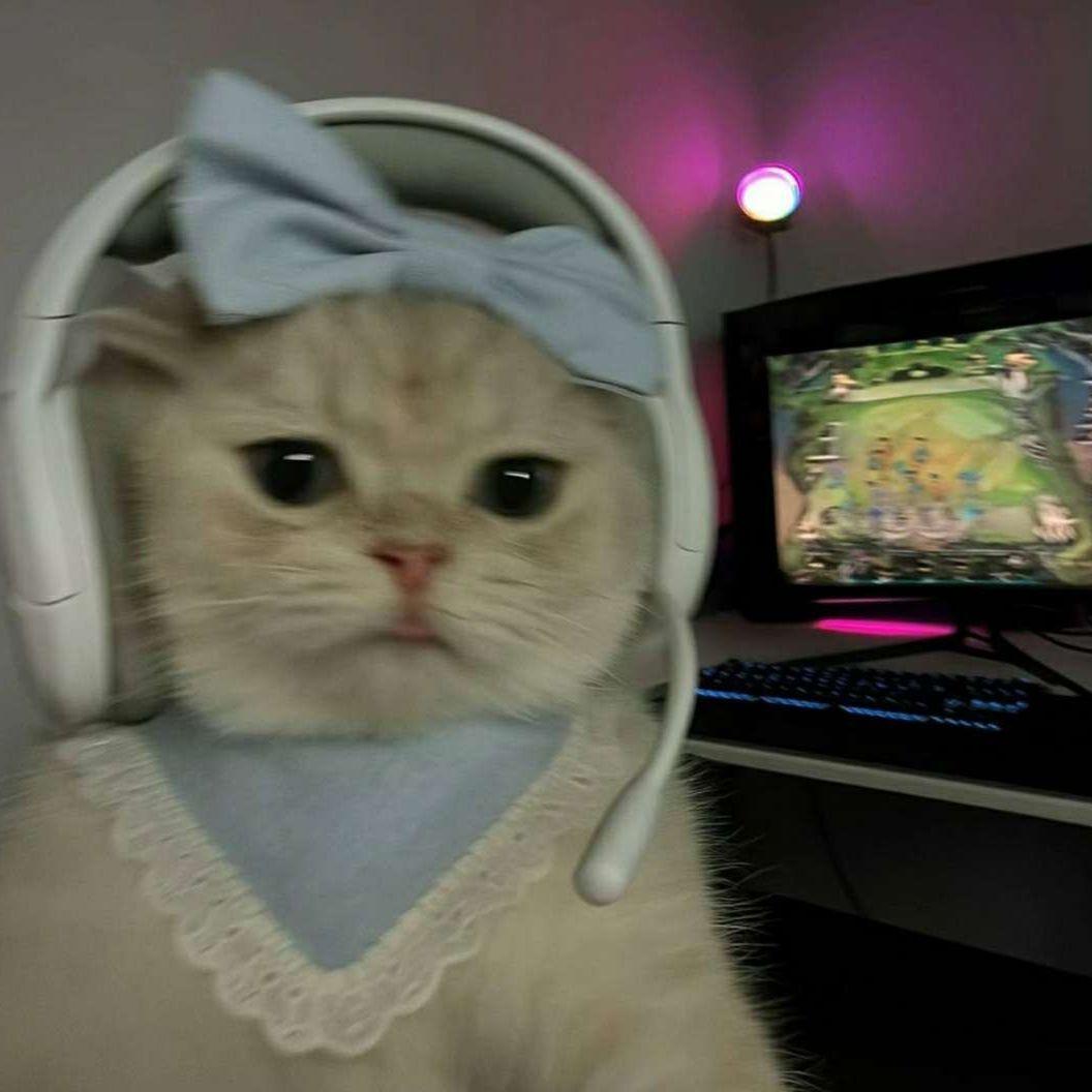 Mettacha avatar