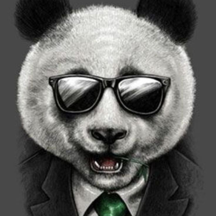 Es_Quz_Me FACEIT avatar
