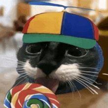 iika3e avatar