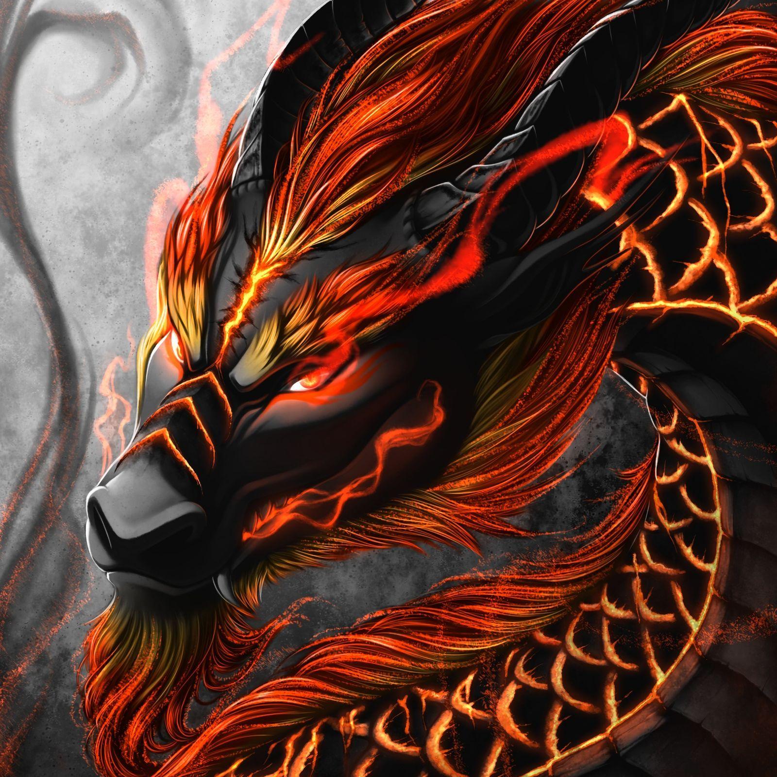 denqqa avatar