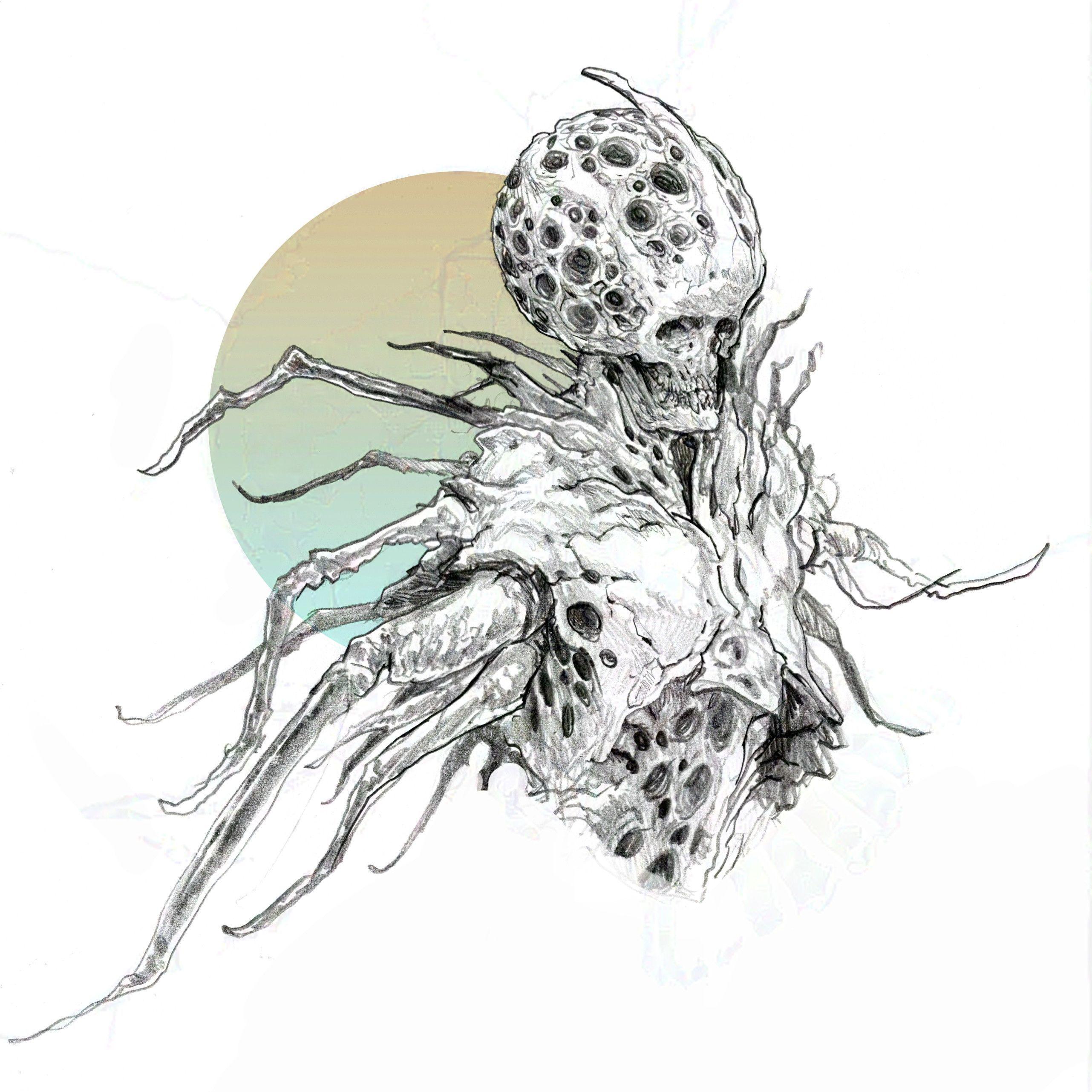 n4r1Ss avatar