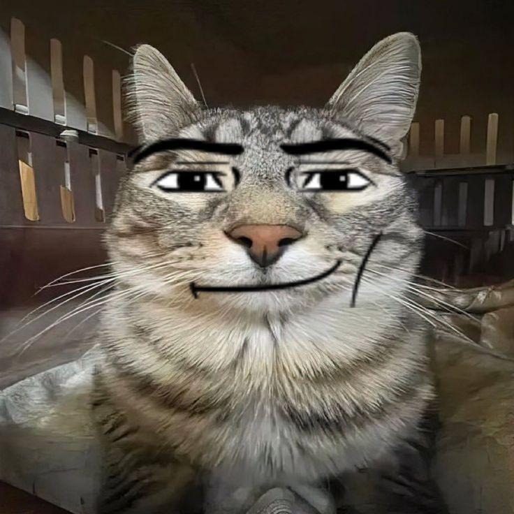 vixbob