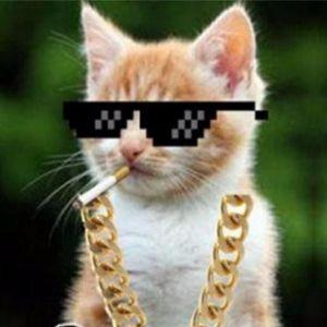 MeowEsports