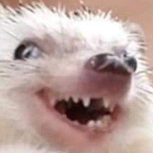 Riallla avatar