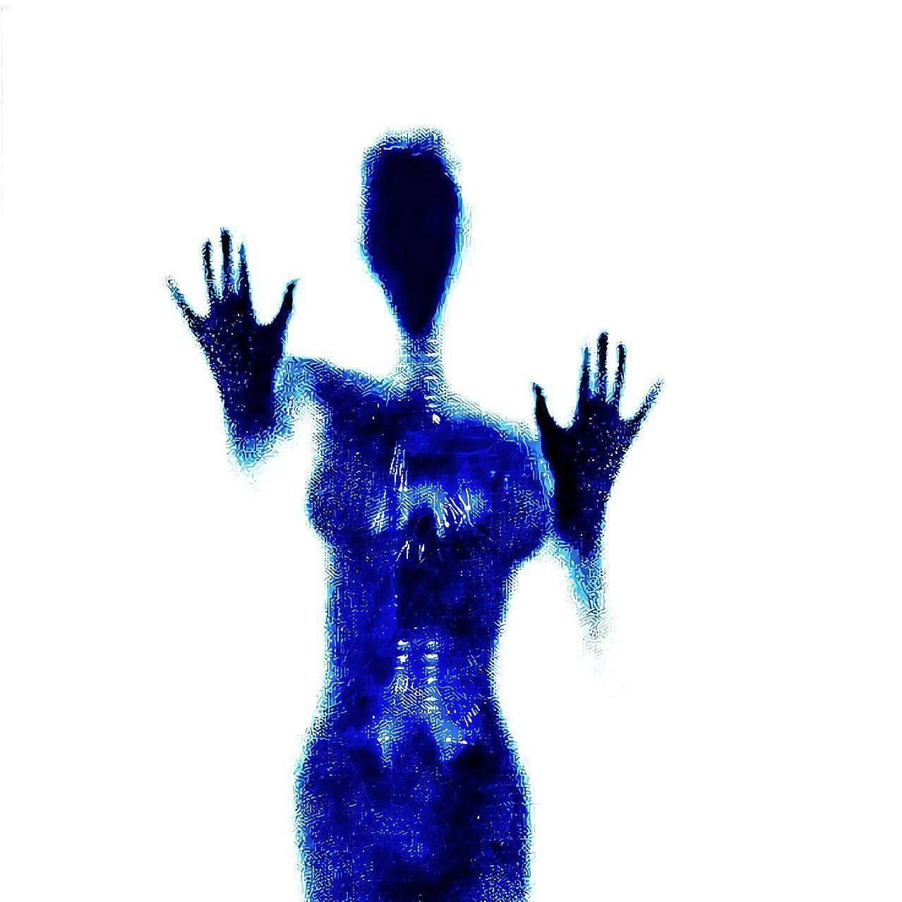zulinpro2006