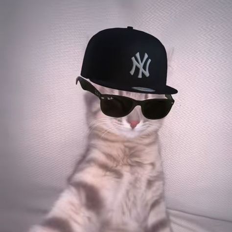 KsenyMeow