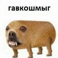 Tvar_is_ada avatar