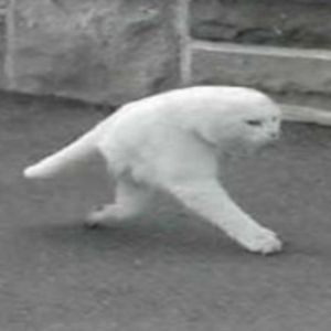 Raw_Input