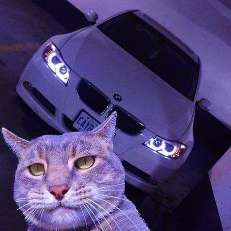 Ataman06 avatar