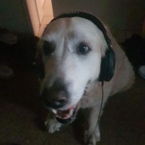 J0HNP00RK avatar