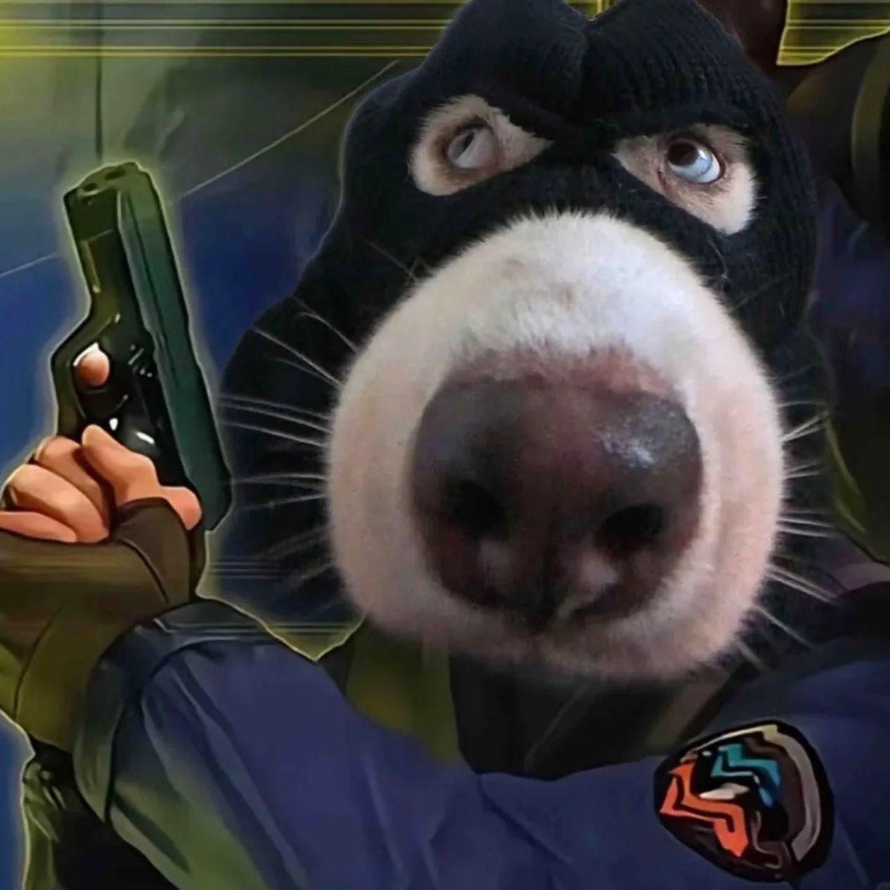 Lasciv avatar
