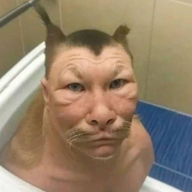 wurd1zpiva avatar