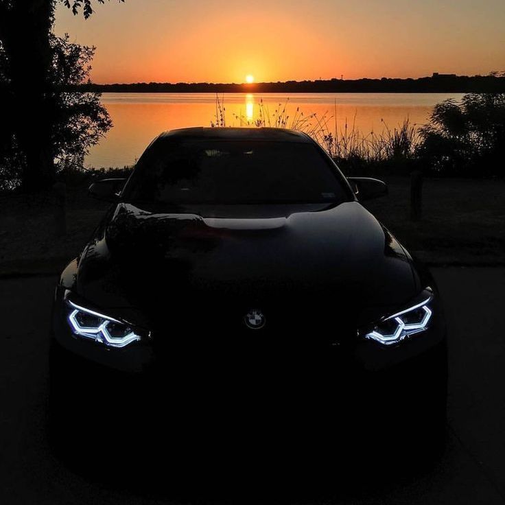 w1insky