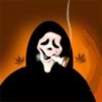 quyor1 avatar