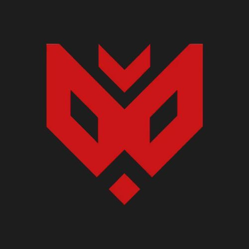 TEB ESPORT PRO