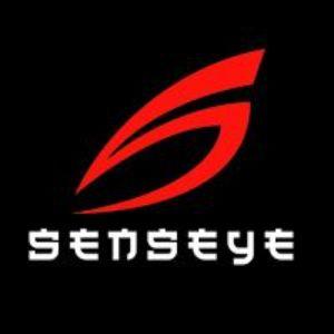 SenseYe avatar