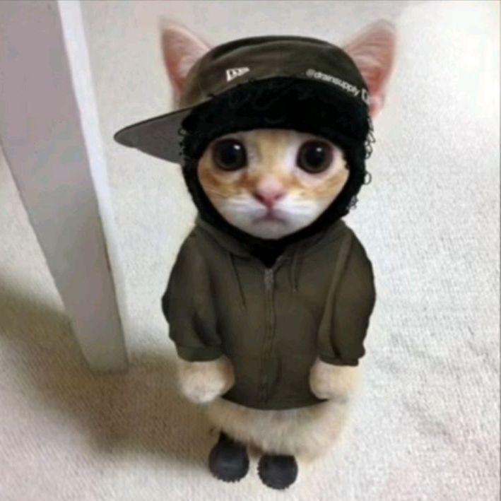 HiIamKrecek avatar