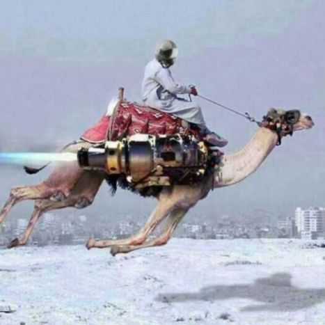 Sharia-Ship