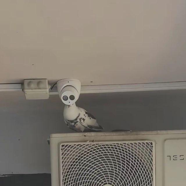 J0rik