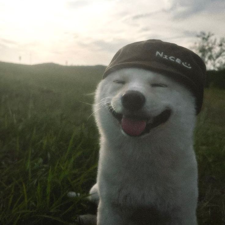 zen__