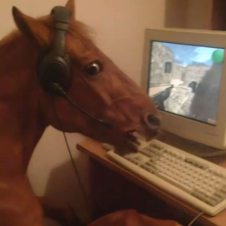 MR_NASWHY