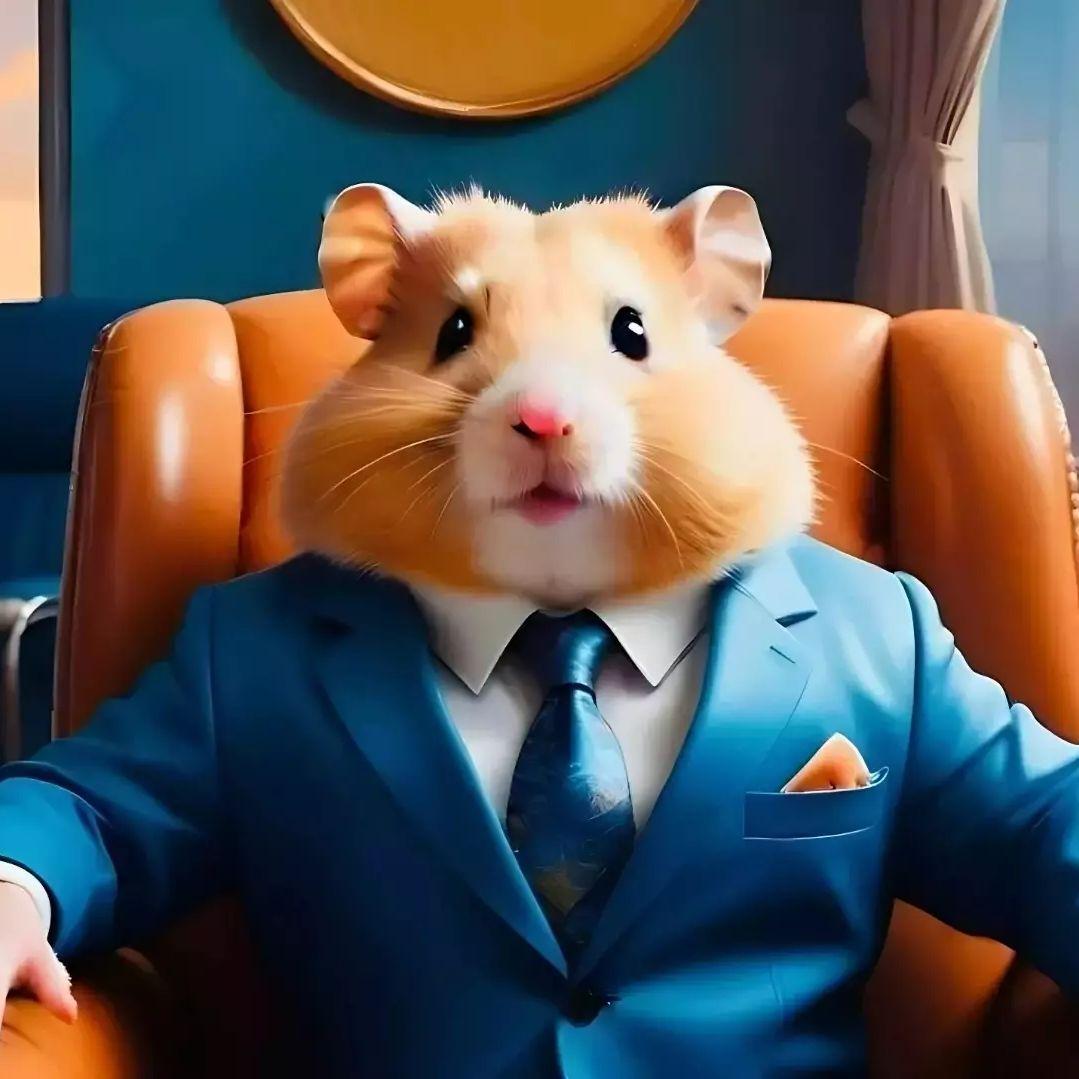 bogdanchert avatar