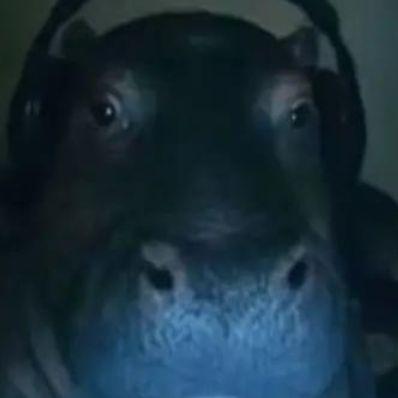 Morazm2 avatar