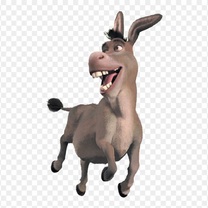 AnJeJs