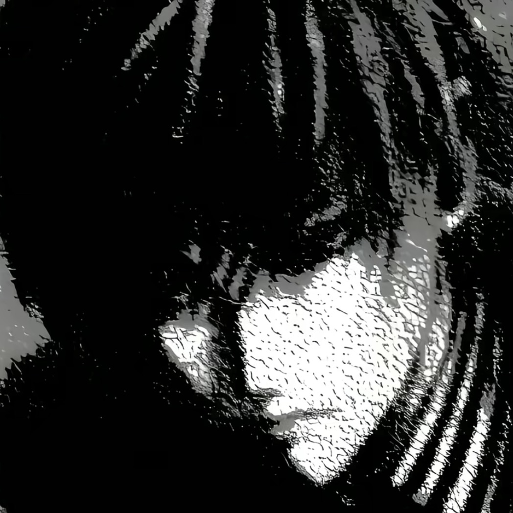 kaalabra avatar