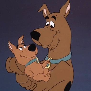 team_ScoobyScrapy