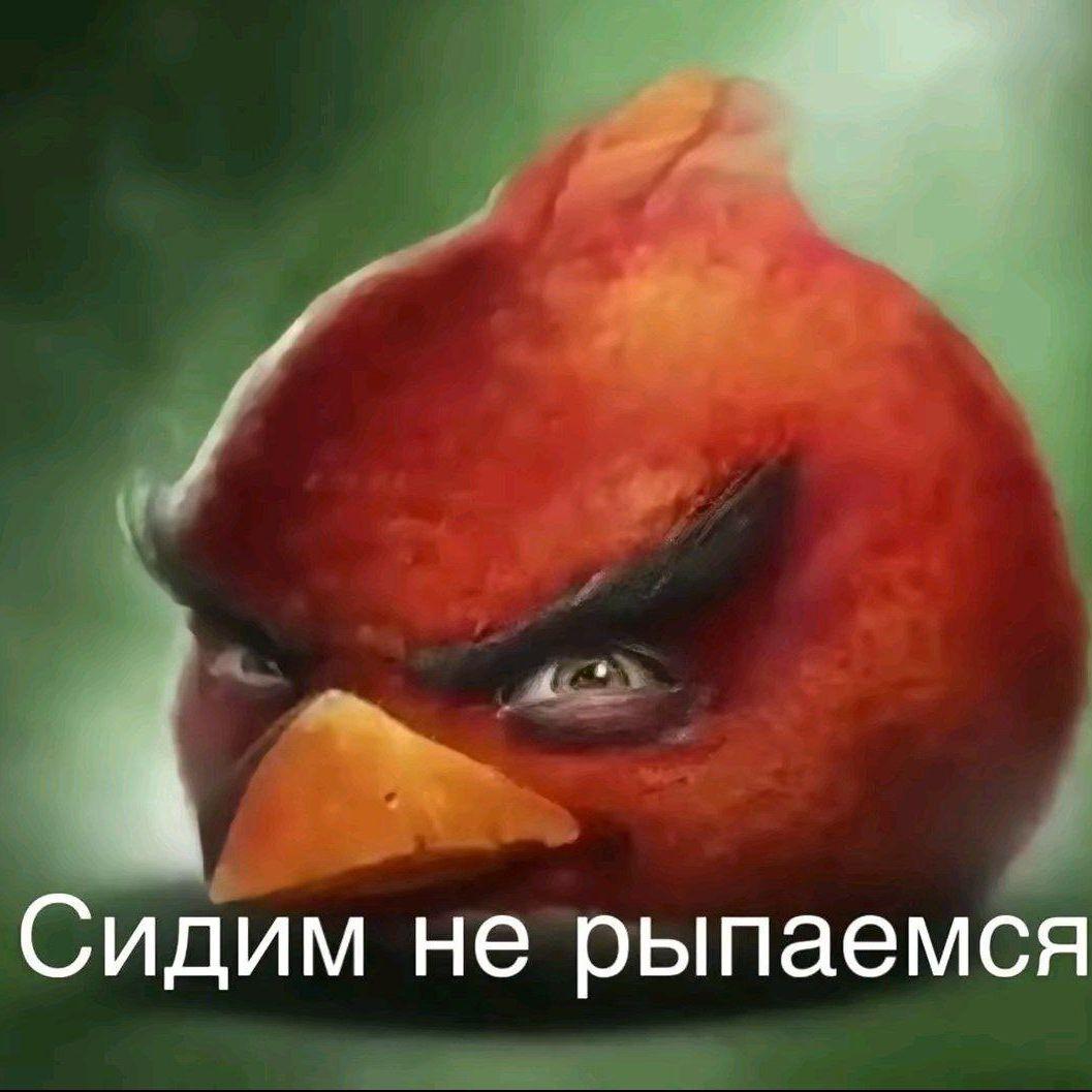 riseks avatar