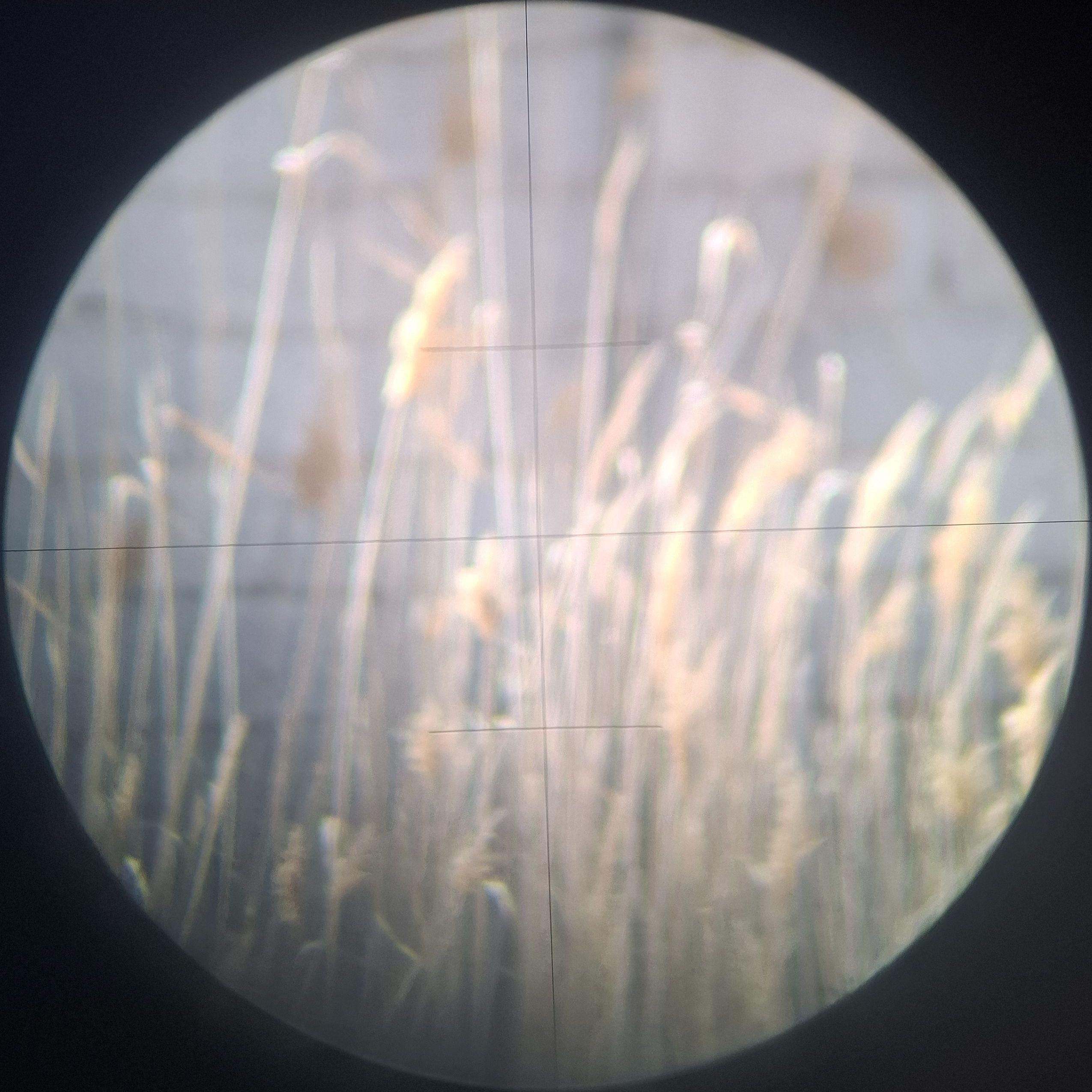 NAZAR8AEV avatar