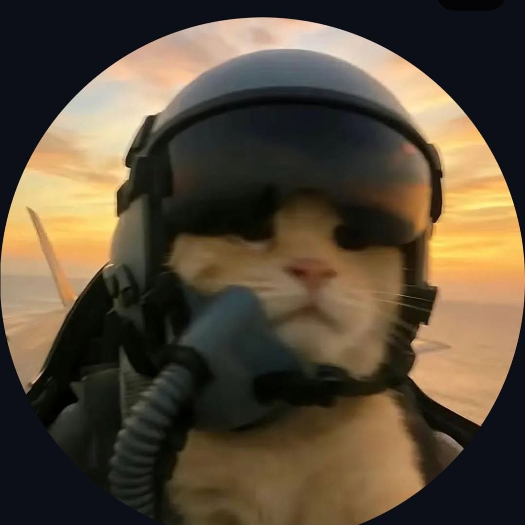 rozab FACEIT avatar