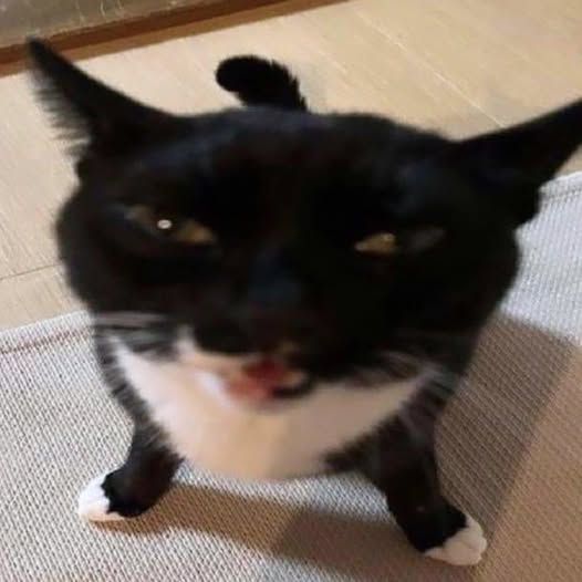 Gromlin01