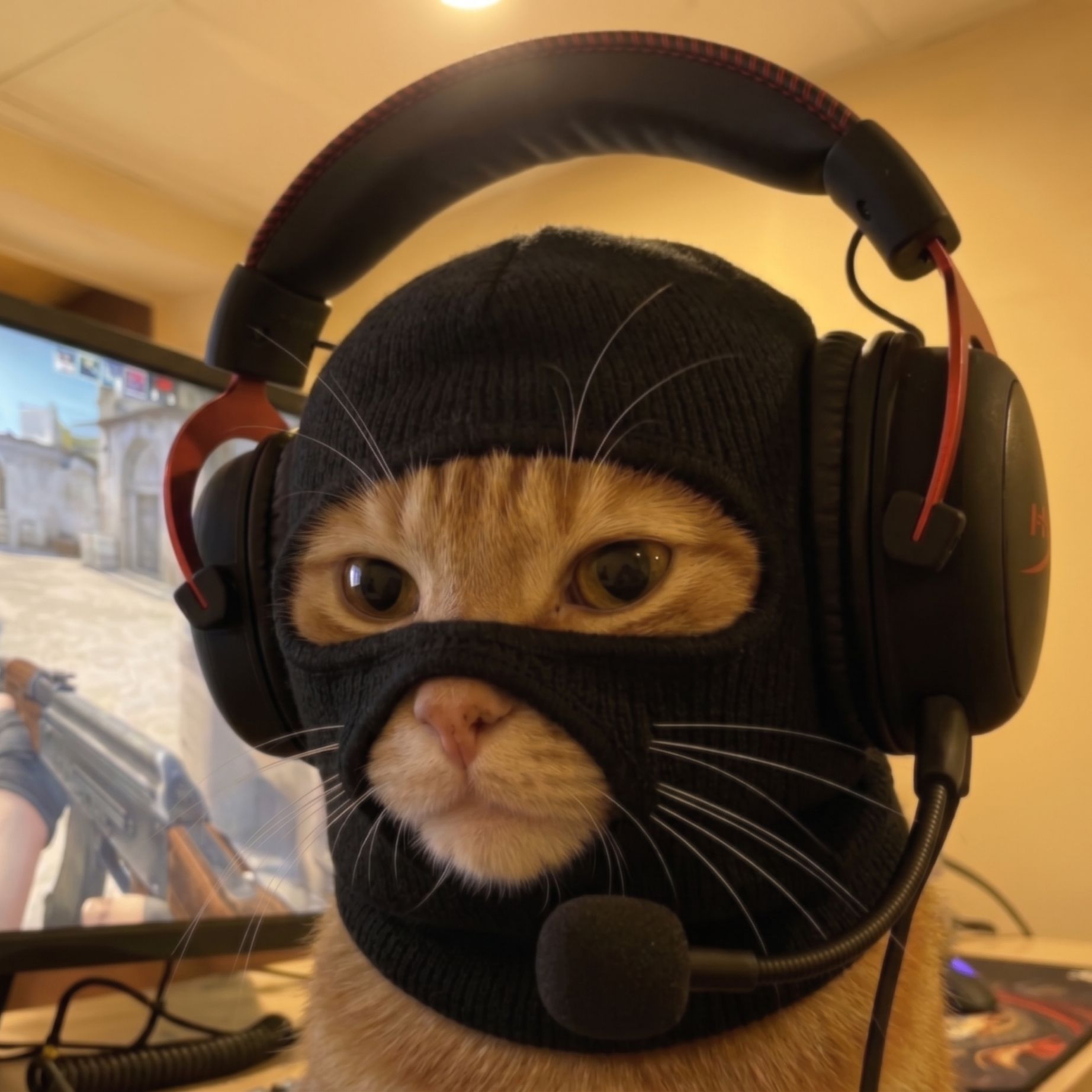 J0GO