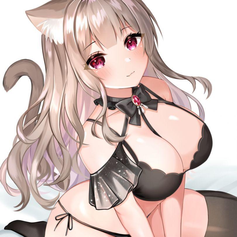 k3yzzz avatar