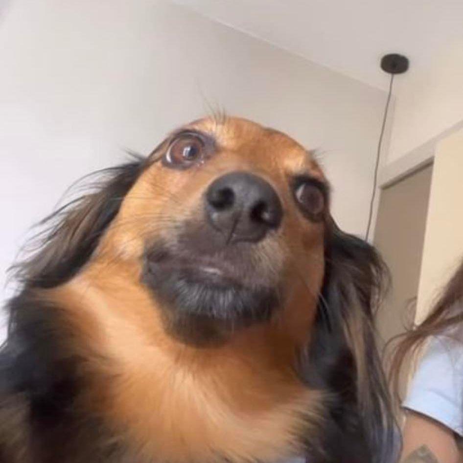 _Melooo