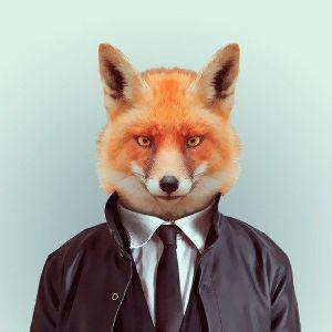 foxinskiy avatar