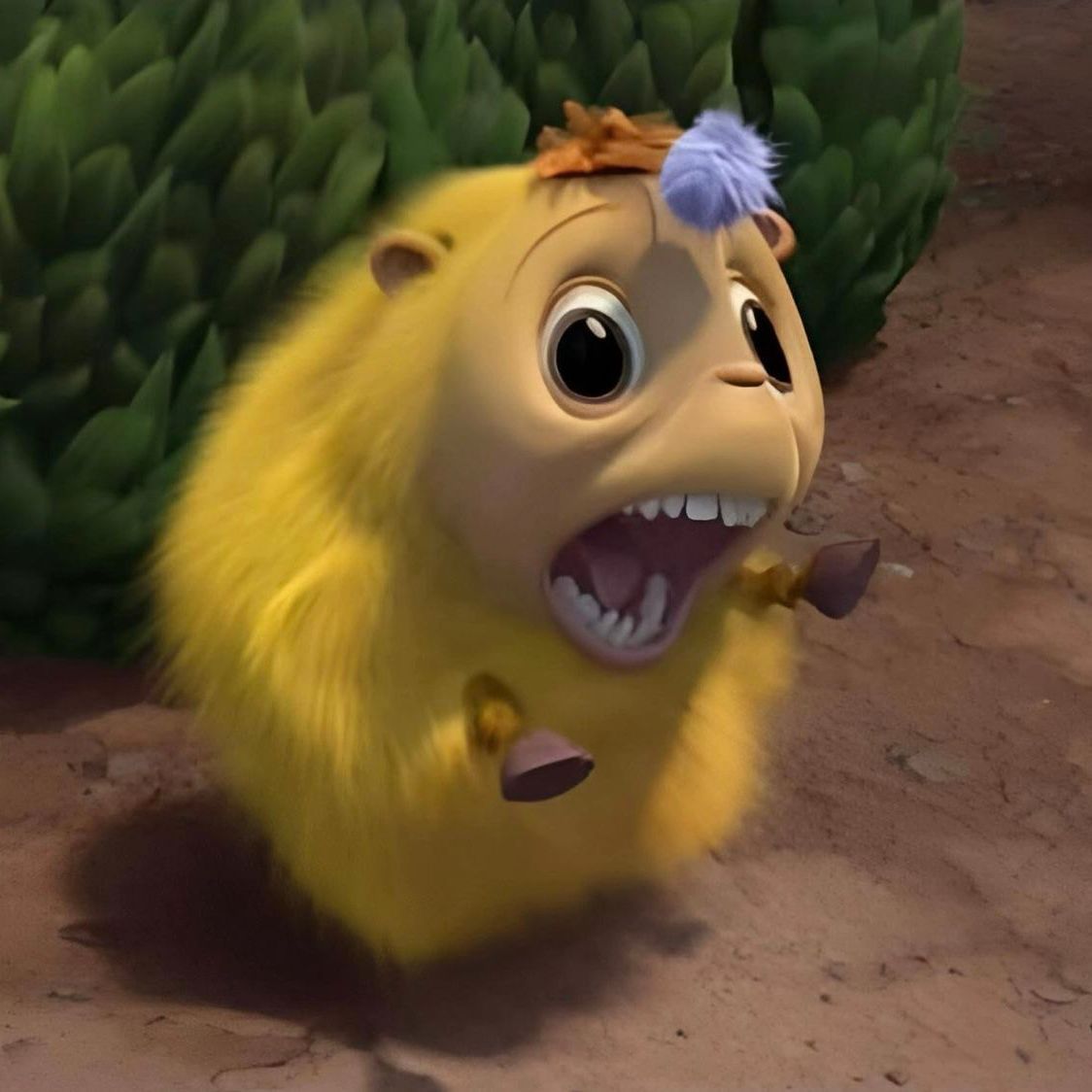 zakeriona