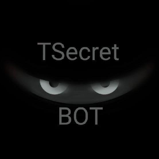 TSecretBot avatar