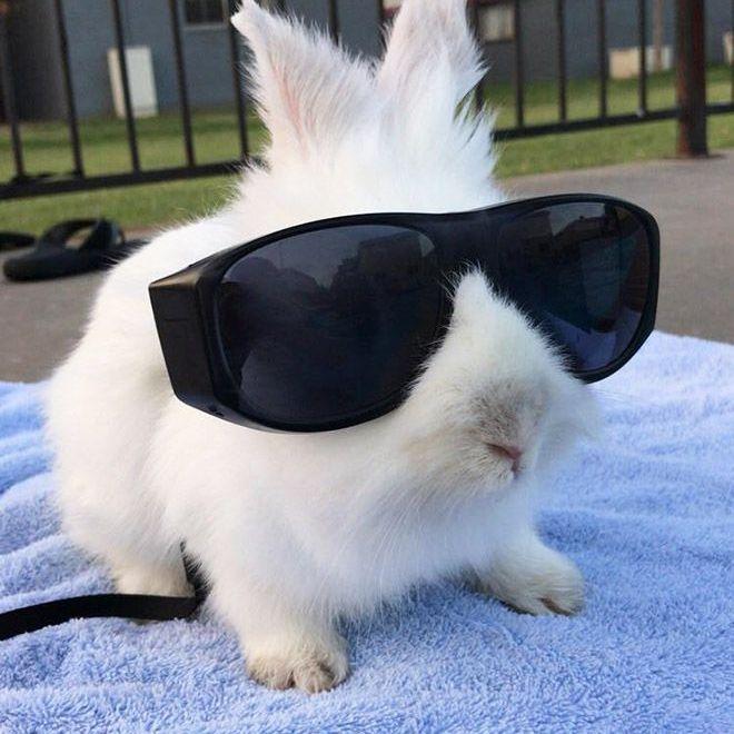 Skirmantux