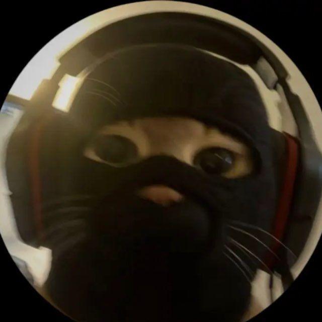 vavtruxxa avatar