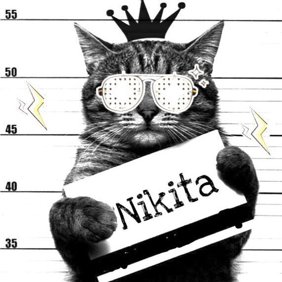 nekit2017pro