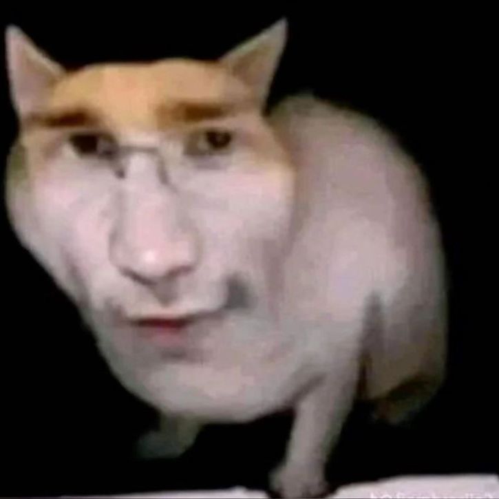 ImJabkovich