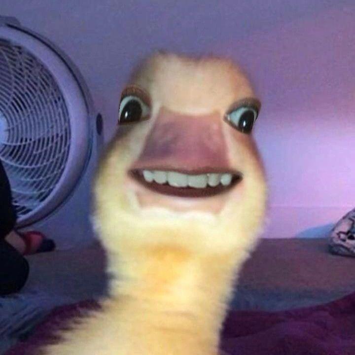 EzJonny_ avatar