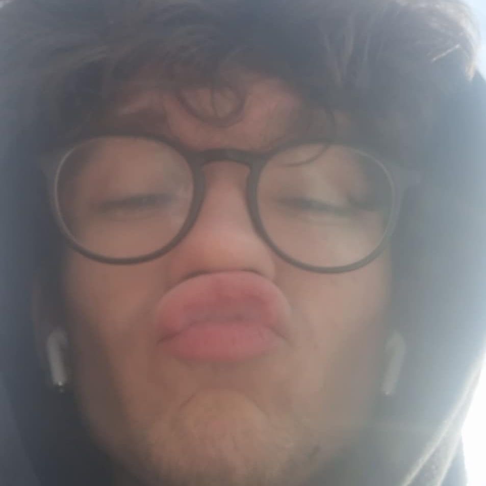 brys1ek