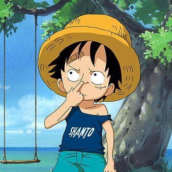 D_Luffy avatar